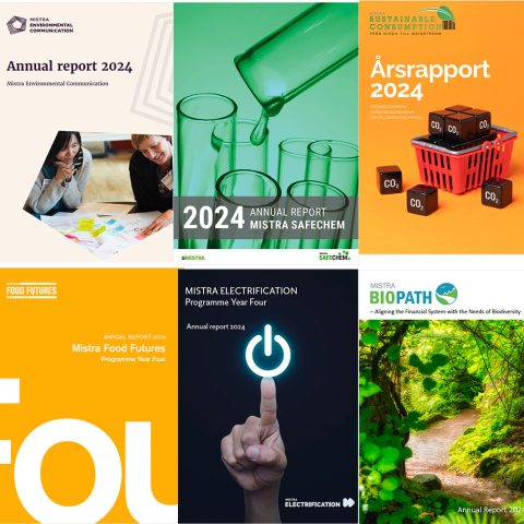 Ett år fyllt av forskning – Mistraprogrammens årsrapporter för 2024