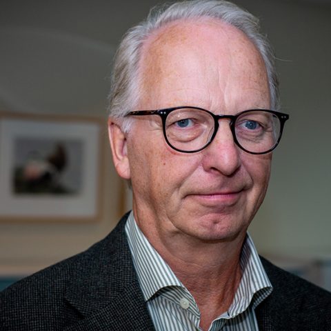 Mistras nya styrelse