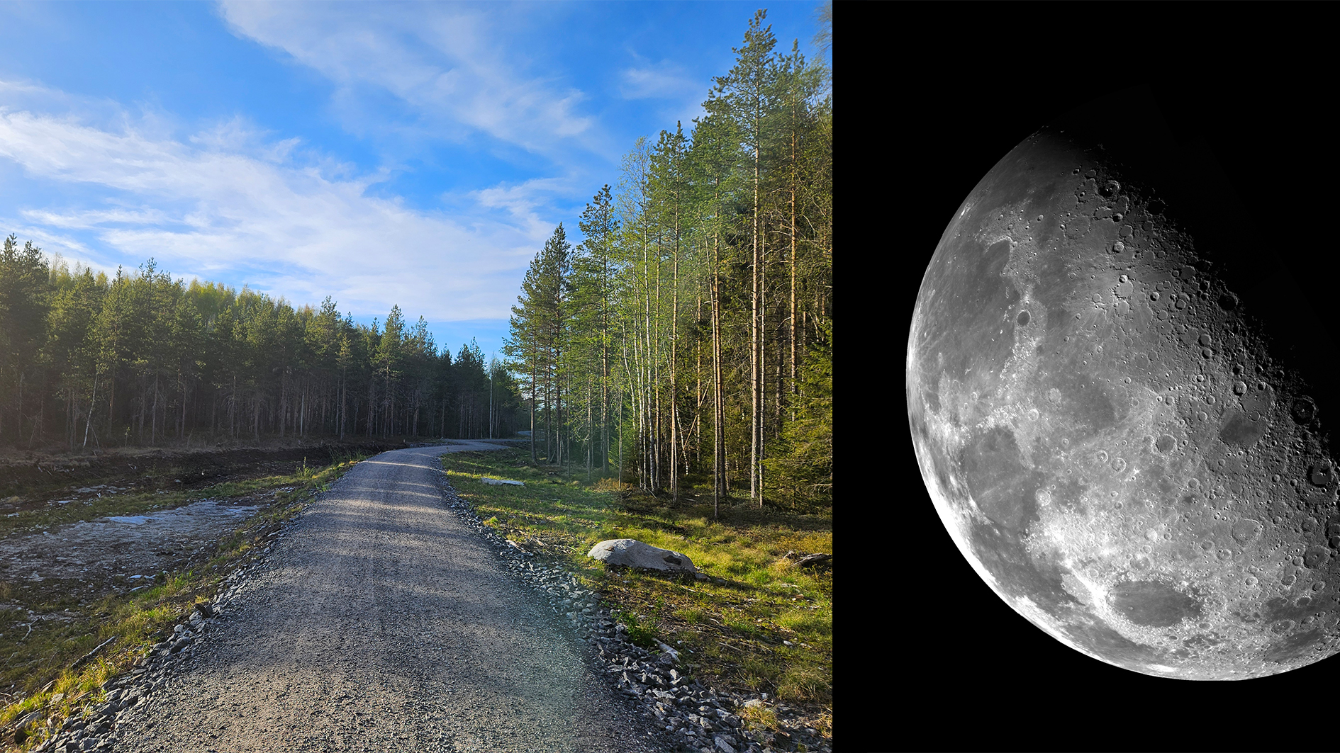 Superdatoranläggningen för digital skogsforskning går under namnet Computional Forestry Lab och är placerad på Umeå universitet.