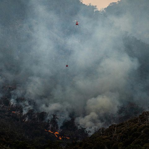 Ny plattform för att förutse och förstå framtidens kriser