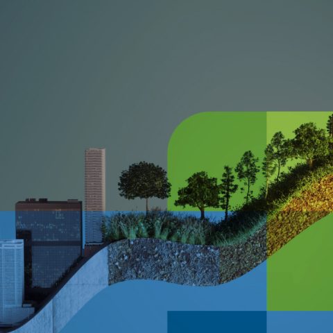 Mistra lanserar ny strategi och utreder långsiktig existens