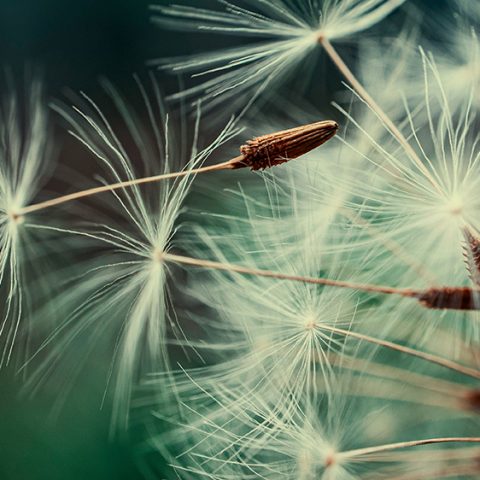 Mistra främjar kunskapsutbyte mellan forskning och finanssektorn