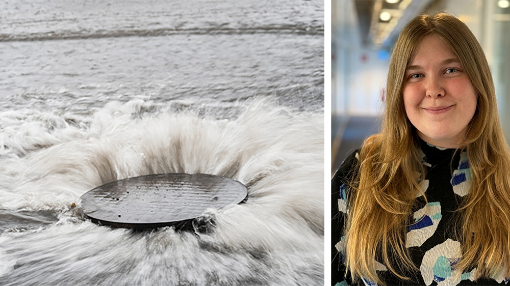 Mistras strategi fokuserar på fokus på kapital för tillväxt, unika forskningssatsningar, kvalitet som skapar värde och starkt ledarskap. 